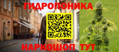 крисы Малгобек